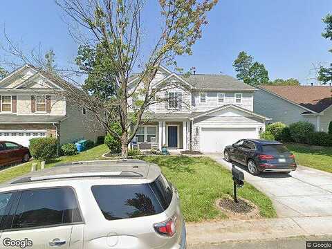 Bougainvillea, MONROE, NC 28110