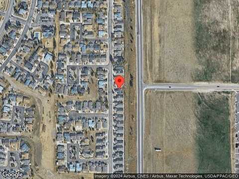 Gray Fox, COLORADO SPRINGS, CO 80922