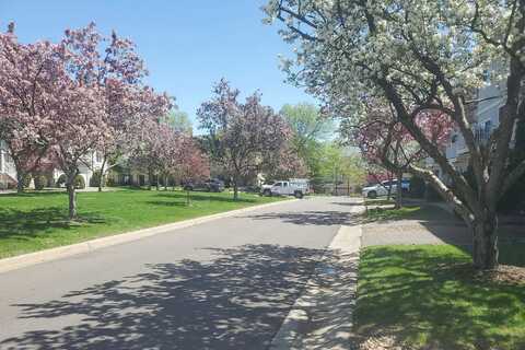 Willoughby, HOPKINS, MN 55305