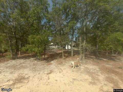 Yellow Bluff, BLACKSHEAR, GA 31516