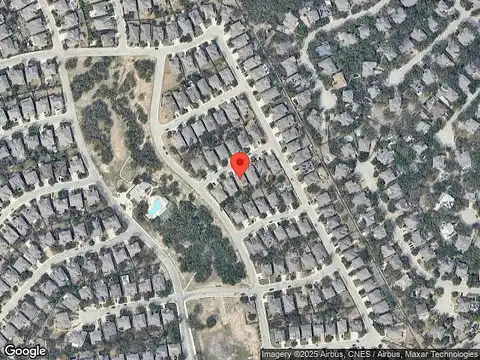 Gazania, SAN ANTONIO, TX 78260