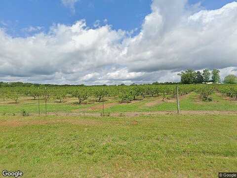 Ruby, WOODBURY, GA 30293