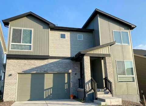 Simmental, CASTLE ROCK, CO 80104