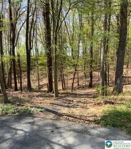 Tiger Lilly Lane, Chestnuthill Twp, PA 18353