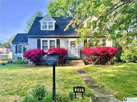 249 Carbon Street, Easton, PA 18045