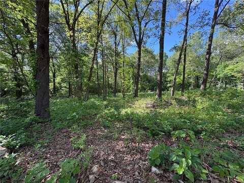 1788 Cody CT, Harrison, AR 72601