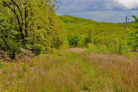 000 Dunkard RD, Harrison, AR 72601