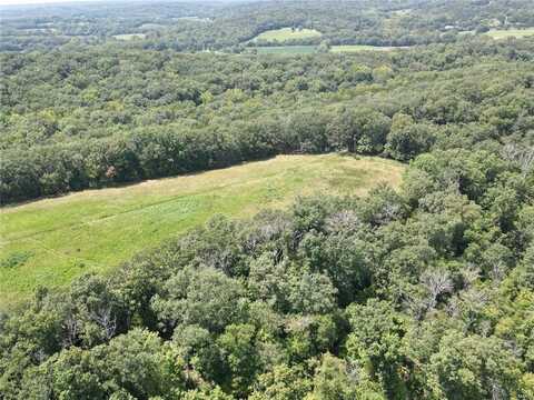 3 LOT TANGLEFOOT FARMS ROAD, Festus, MO 63028