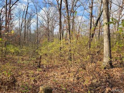 0 Beach Circle, Moscow Mills, MO 63362
