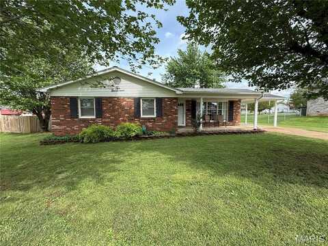 217 Williams Street, Fredericktown, MO 63645