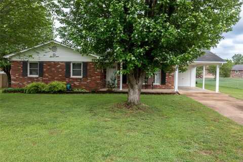 217 Williams Street, Fredericktown, MO 63645