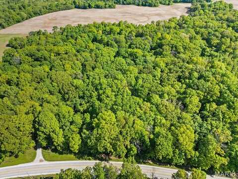 0 15.20 Acres - State Rt. 156, Waterloo, IL 62298