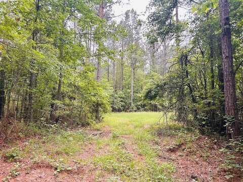 0 County Road 197, Clanton, AL 35046