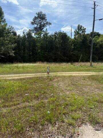0 Highway 43, Wagarville, AL 36585