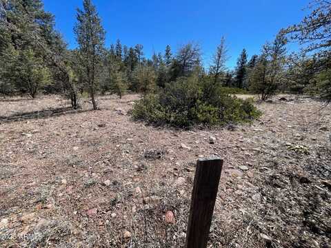194 S FREDS Road, Young, AZ 85554