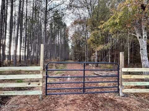 0 Swamp RD, Carthage, MS 39051