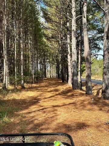 101 Harris Cove, Carthage, MS 39051