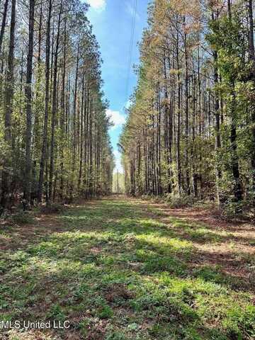 Lot A Swamp Rd., Carthage, MS 39051