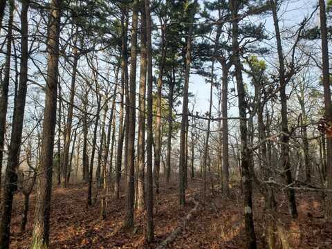 Tract 5 K-Trail, Albion, OK 74571