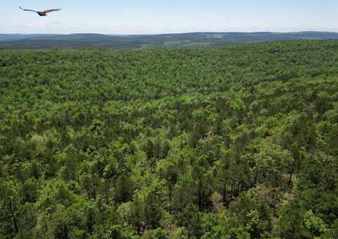 TRACT 40 TRAIL RIDGE ROAD, Albion, OK 74571