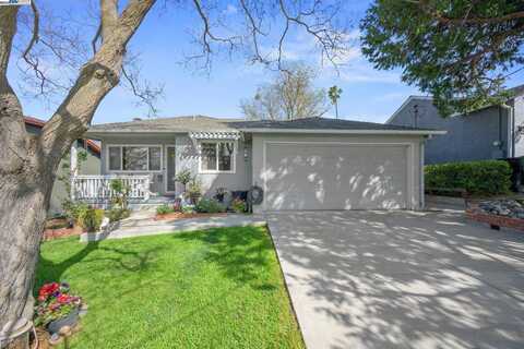 330 Amador Ct, Pleasanton, CA 94566