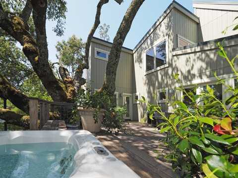 23078 Vineyard Road, Geyserville, CA 95441