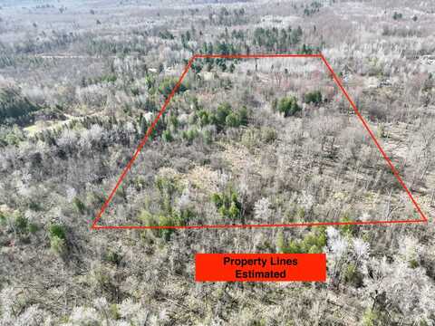 0 W Youngs Road, Gladwin, MI 48624