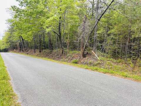 0 Marble Valley/ Hidden Valley Road, Sylacauga, AL 35151