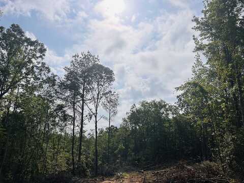 0 Vernontown Road, West Blocton, AL 35184