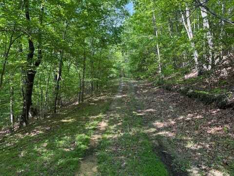 0 County Road 103, Mentone, AL 35984
