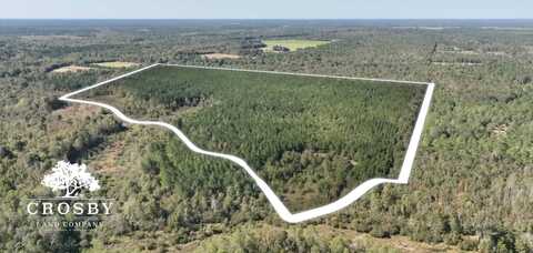 0 Rosedale Road, Sardis, GA 30456