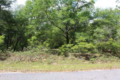 Lot 17 Arnone Lane, Chipley, FL 32428