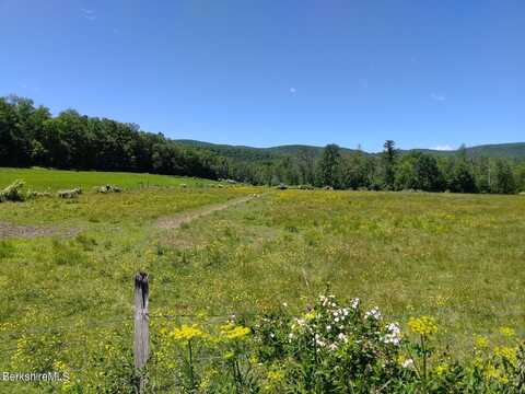 0 Old Ore Bed Rd, Lanesborough, MA 01237