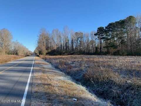 Tbd Near 1195 Cedar Grove Church Road, Cerro Gordo, NC 28430