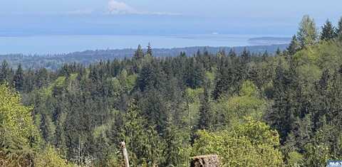 NKA E Half Mile Rd., Lot D, Port Angeles, WA 98362