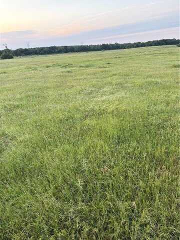 Tbd East FM 2293 Farm to Market Road, Bremond, TX 76629