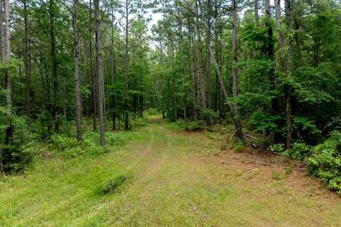 3962 County Road 1095, KENNARD, TX 75847