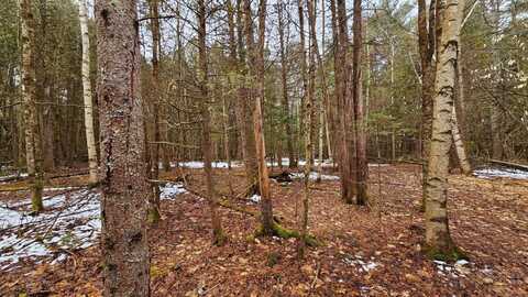 Lot 8 Murray Road, Newport, ME 04953