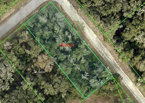 SMALLMAN STREET, WEBSTER, FL 33597