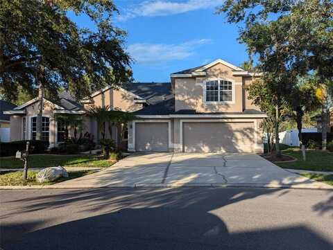 19116 NATURE PALM LANE, TAMPA, FL 33647