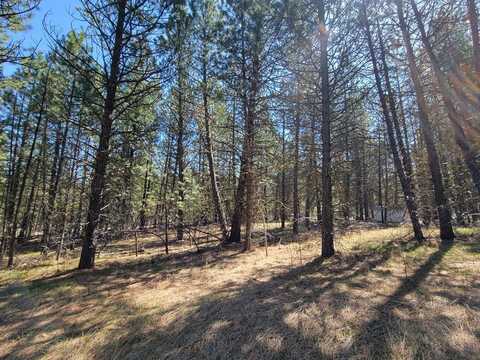 110 E Prospectors Drive, Cascade, ID 83611