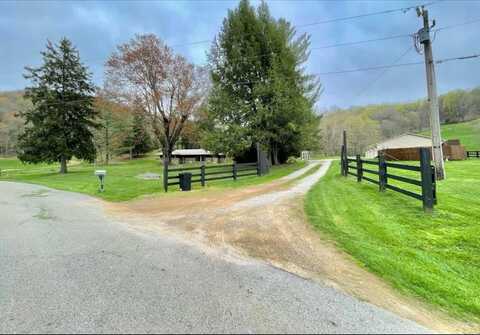 1459 Buck Lick Br, Tollesboro, KY 41189
