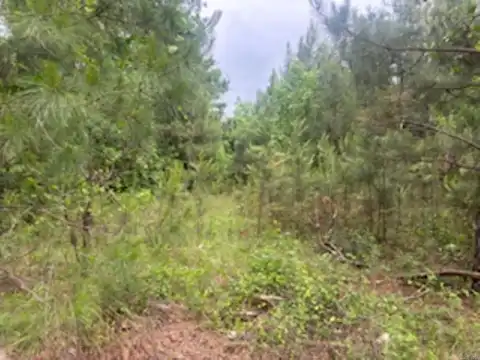 4.82 Acres Apple St., Camden, AR 71701