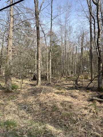 Lot 814 White Pine Drive, Pocono Lake, PA 18347