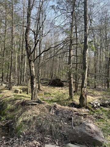 Lot 720 Elk Run Road, Pocono Lake, PA 18347