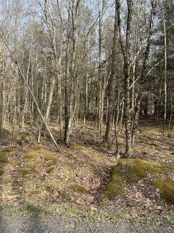 Lot 813 White Pine Drive, Pocono Lake, PA 18347
