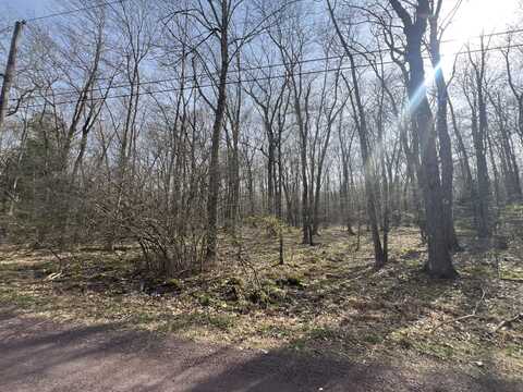 Lot 1010 Beaver Run, Pocono Lake, PA 18347