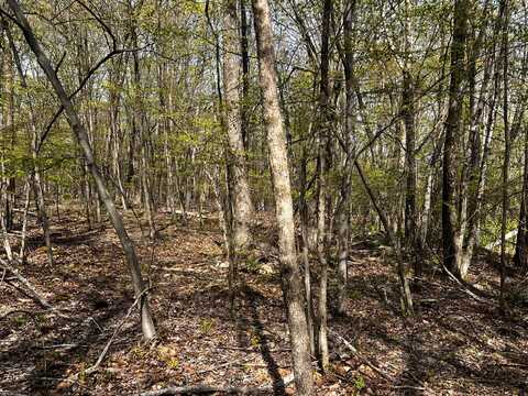 Lot 72 Larkspur/Woodruff, Stroudsburg, PA 18360