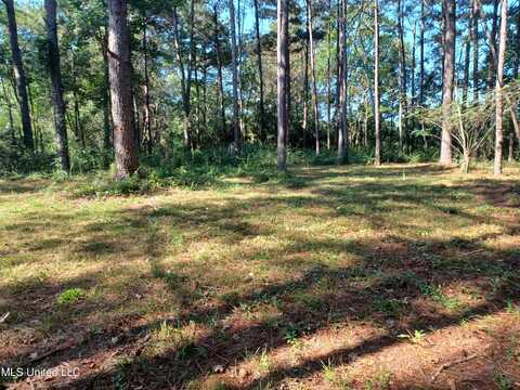 Nhn Cheryl Lane, Lumberton, MS 39455