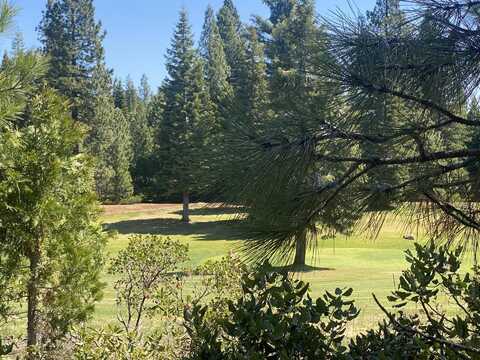 150 Terranova Drive, Lake Almanor, CA 96137